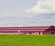 tecnicas-metalicas-naves-ganaderas-naves-agricolas-construcciones-metalicas-naves-metalicas-estructuras-metalicas-acero-08