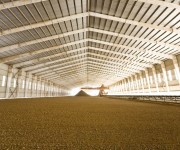 tecnicas-metalicas-naves-ganaderas-naves-agricolas-construcciones-metalicas-naves-metalicas-estructuras-metalicas-acero-11