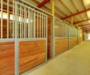 tecnicas-metalicas-naves-ganaderas-naves-agricolas-construcciones-metalicas-naves-metalicas-estructuras-metalicas-acero-12