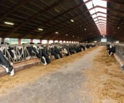 tecnicas-metalicas-naves-ganaderas-naves-agricolas-construcciones-metalicas-naves-metalicas-estructuras-metalicas-acero-13
