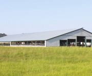 tecnicas-metalicas-naves-ganaderas-naves-agricolas-construcciones-metalicas-naves-metalicas-estructuras-metalicas-acero-14