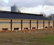 tecnicas-metalicas-construcciones-naves-metalicas-naves-agricolas-almacenes-pabellones-agricolas-naves-ganaderas-estructuras-metalicas-acero-galvanizado-naves-prefabricadas-02