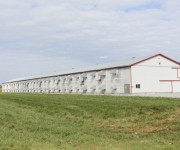 tecnicas-metalicas-construcciones-naves-metalicas-naves-agricolas-almacenes-pabellones-agricolas-naves-ganaderas-estructuras-metalicas-acero-galvanizado-naves-prefabricadas-03