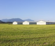 tecnicas-metalicas-construcciones-naves-metalicas-naves-agricolas-almacenes-pabellones-agricolas-naves-ganaderas-estructuras-metalicas-acero-galvanizado-naves-prefabricadas-05