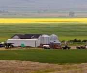 tecnicas-metalicas-construcciones-naves-metalicas-naves-agricolas-almacenes-pabellones-agricolas-naves-ganaderas-estructuras-metalicas-acero-galvanizado-naves-prefabricadas-17