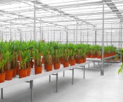 tecnicas-metalicas-construcciones-naves-metalicas-naves-agricolas-almacenes-pabellones-agricolas-naves-ganaderas-estructuras-metalicas-acero-galvanizado-naves-prefabricadas-20