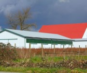 tecnicas-metalicas-construcciones-naves-metalicas-naves-agricolas-almacenes-pabellones-agricolas-naves-ganaderas-estructuras-metalicas-acero-galvanizado-naves-prefabricadas-24