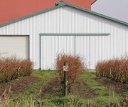 tecnicas-metalicas-construcciones-naves-metalicas-naves-agricolas-almacenes-pabellones-agricolas-naves-ganaderas-estructuras-metalicas-acero-galvanizado-naves-prefabricadas-25