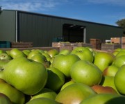 tecnicas-metalicas-construcciones-naves-metalicas-naves-agricolas-almacenes-pabellones-agricolas-naves-ganaderas-estructuras-metalicas-acero-galvanizado-naves-prefabricadas-37