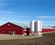 tecnicas-metalicas-construcciones-naves-metalicas-naves-agricolas-almacenes-pabellones-agricolas-naves-ganaderas-estructuras-metalicas-acero-galvanizado-naves-prefabricadas-41