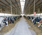 tecnicas-metalicas-construcciones-naves-metalicas-naves-ganaderas-agricolas-estructuras-metalicas-acero-galvanizado-naves-prefabricadas-03