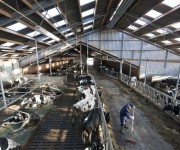 tecnicas-metalicas-construcciones-naves-metalicas-naves-ganaderas-agricolas-estructuras-metalicas-acero-galvanizado-naves-prefabricadas-08