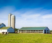 tecnicas-metalicas-construcciones-naves-metalicas-naves-ganaderas-agricolas-estructuras-metalicas-acero-galvanizado-naves-prefabricadas-10