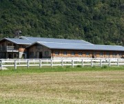 tecnicas-metalicas-construcciones-naves-metalicas-naves-ganaderas-agricolas-estructuras-metalicas-acero-galvanizado-naves-prefabricadas-11