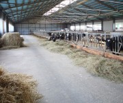 tecnicas-metalicas-construcciones-naves-metalicas-naves-ganaderas-agricolas-estructuras-metalicas-acero-galvanizado-naves-prefabricadas-12