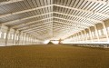 tecnicas-metalicas-naves-ganaderas-naves-agricolas-construcciones-metalicas-naves-metalicas-estructuras-metalicas-acero-11